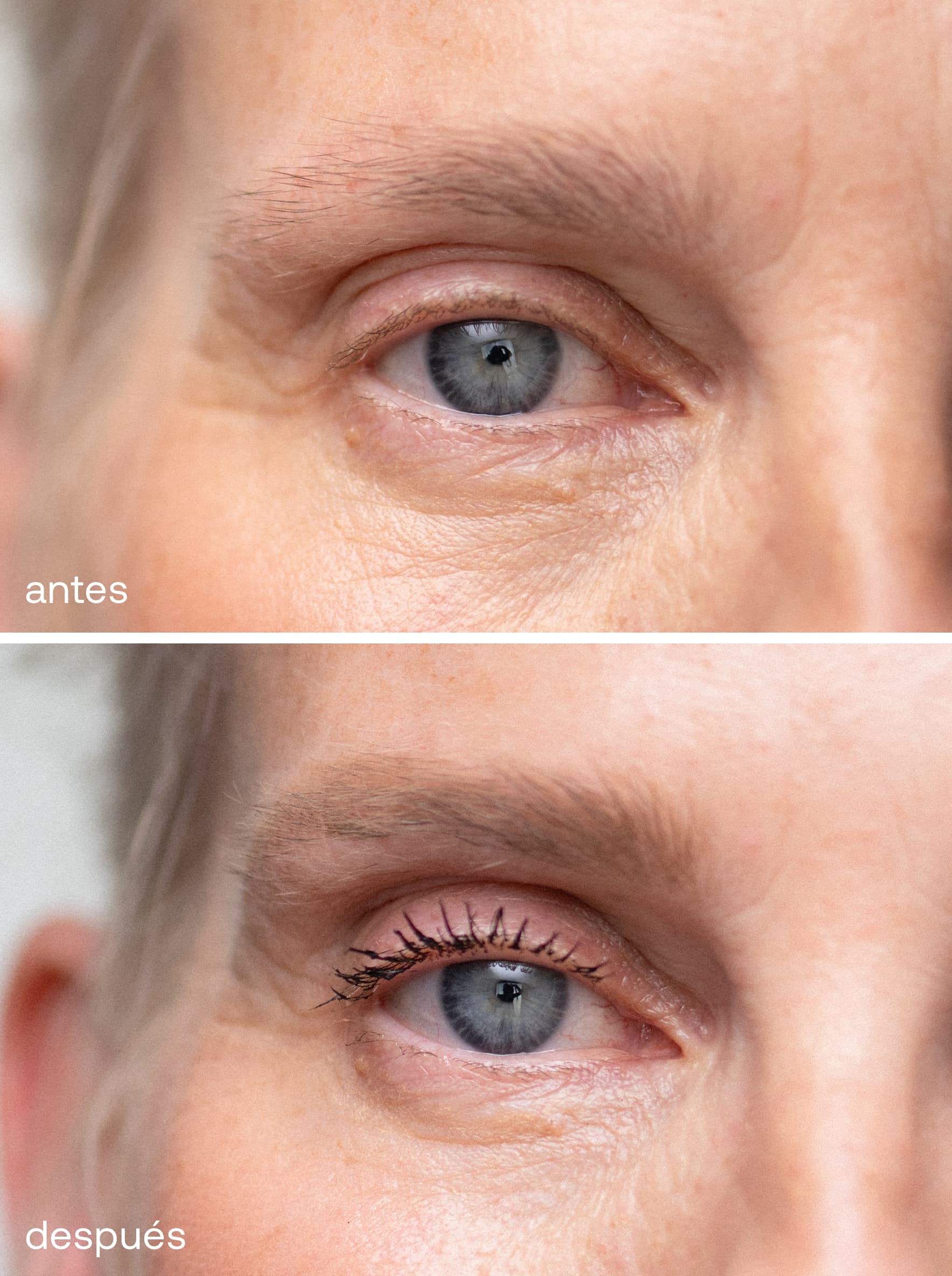 Gel Fijador de Cejas