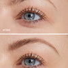 Lápiz De Cejas
